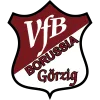 VFB Borussia Görzig