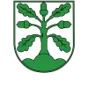 Grün-Weiß Pretzsch II