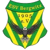 ESV Bergwitz 05 (A)