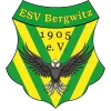 ESV Bergwitz 05