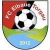 FC Elbaue Torgau