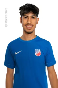 Sulaiman Hamid
