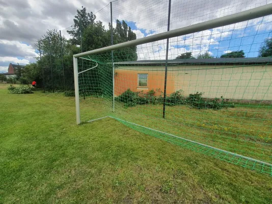Arbeitseinsatz Sportplatz Pt. I