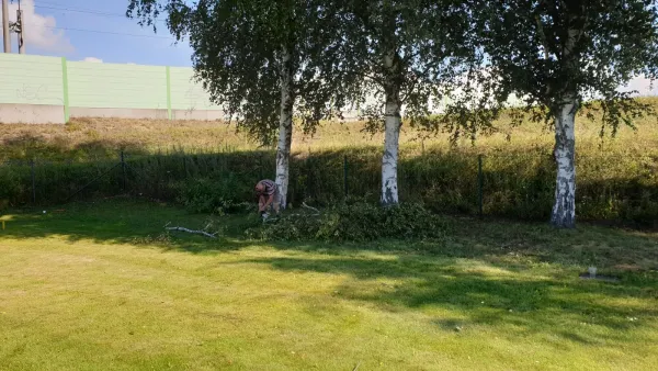 Arbeitseinsatz Pt. II