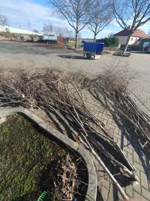 Arbeitseinsatz Pt. IV