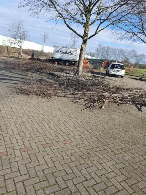 Arbeitseinsatz Pt. IV