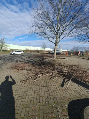 Arbeitseinsatz Pt. IV