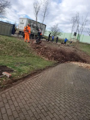 Arbeitseinsatz Pt. IV
