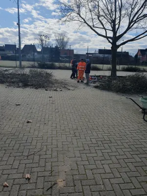 Arbeitseinsatz Pt. IV
