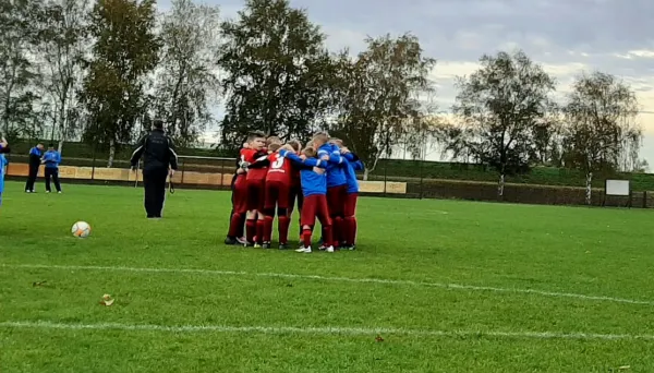 18.10.2019 SV Blau-Rot Pratau II vs. SV Blau-Rot Pratau